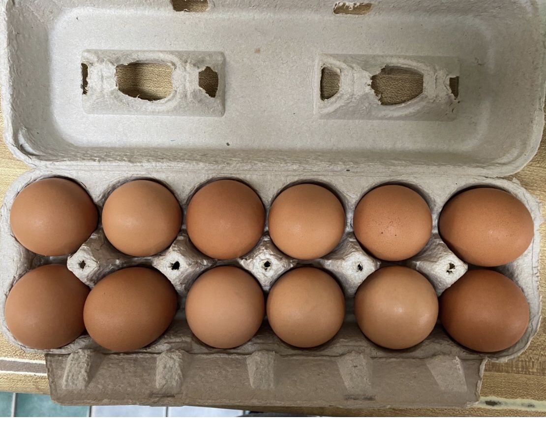 Fresh Organic Eggs for Sale in Riverside, CA OfferUp