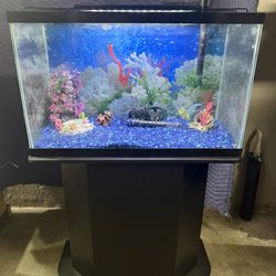 Aquarium For Sale 