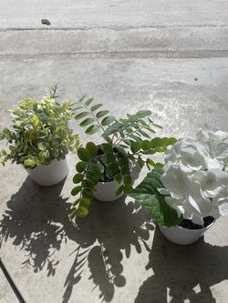 Decor