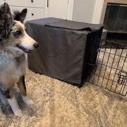 Dog Crate ( You And Me )