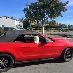 2012 Ford Mustang