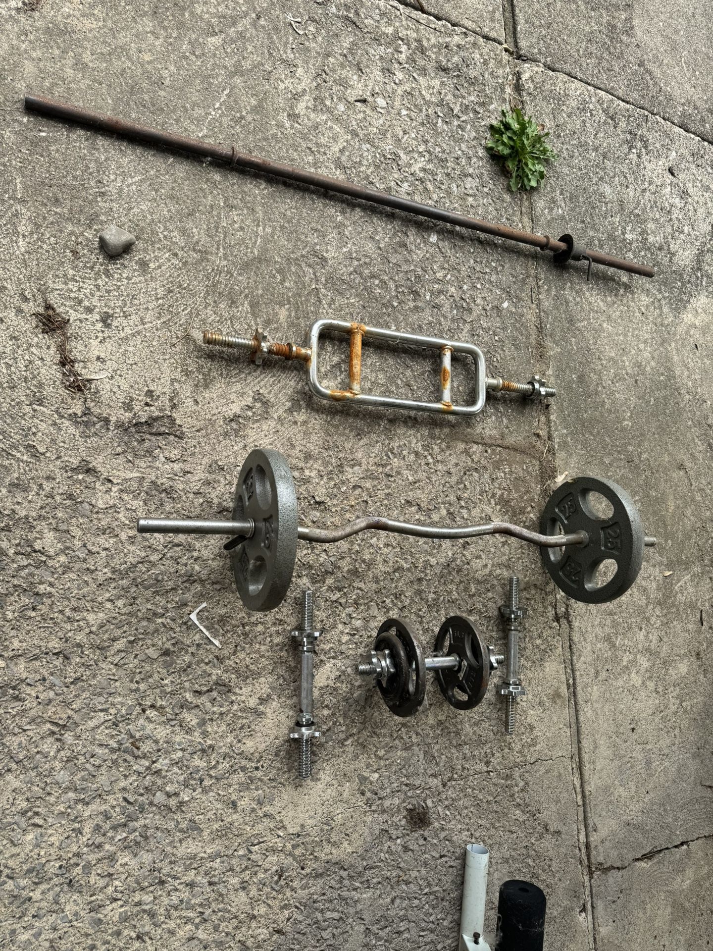 Workout Equipment 