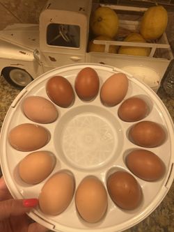 Fresh Eggs $5  A Dozen And Lemons $5 A Bag 