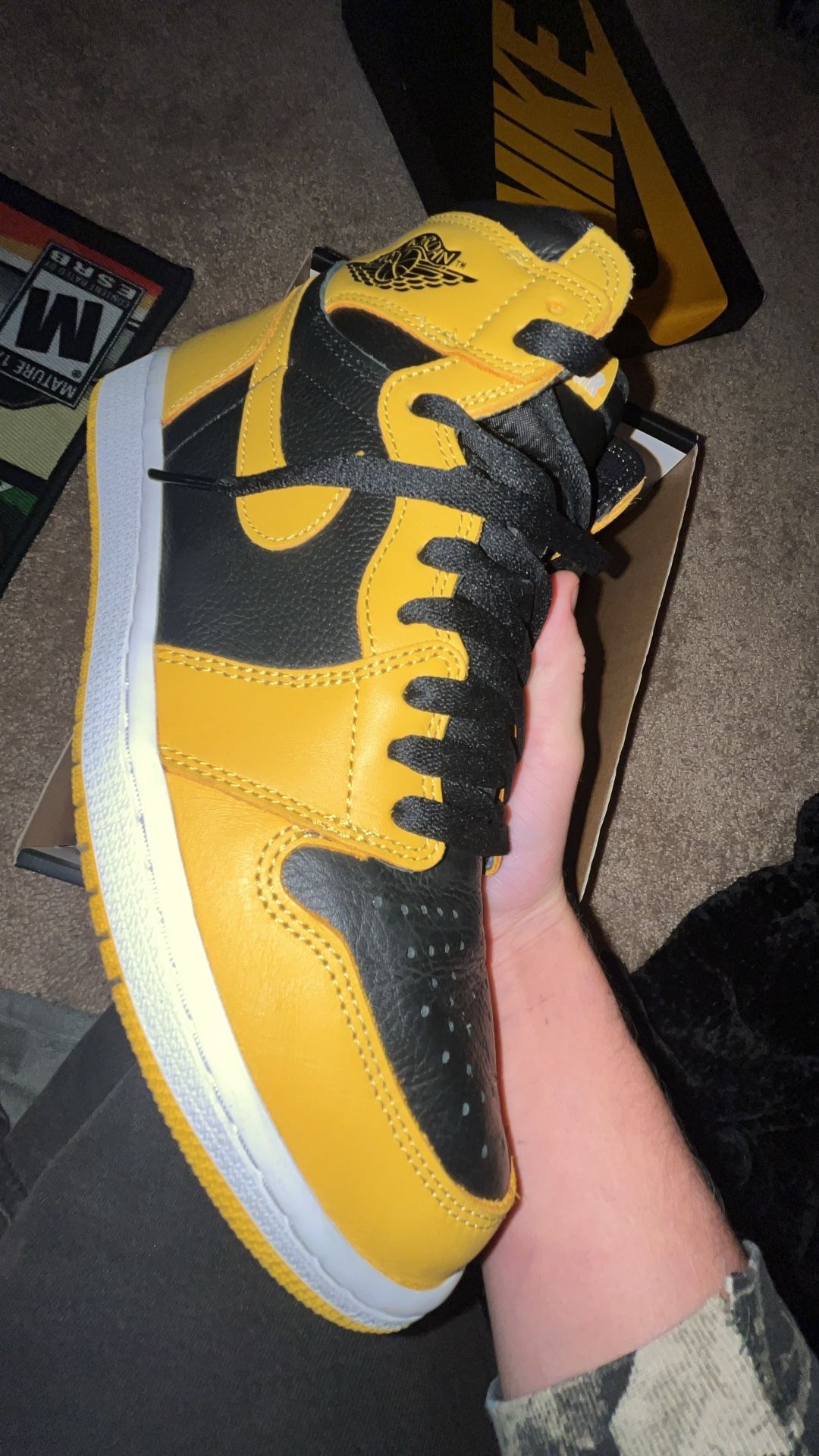 Jordan 1 “POLLEN”