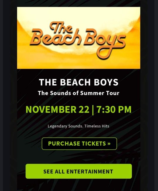 Beach Boys π ποΈβ±οΈ