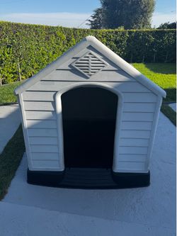 Dog House
