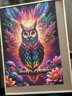 Wise Owl Puzzle 🧩 