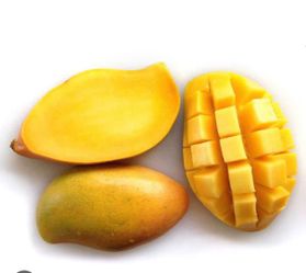 Kent mango trees