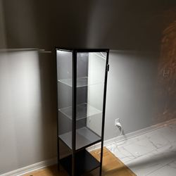 Display Case with Light