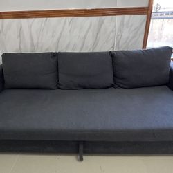 Sleeper Sofa IKEA Friheten