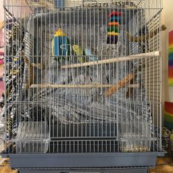Parakeet Cage $100 