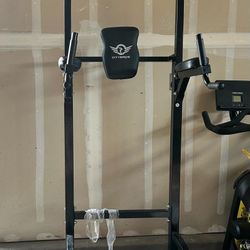 Citybirds DIP and Pull-ups 