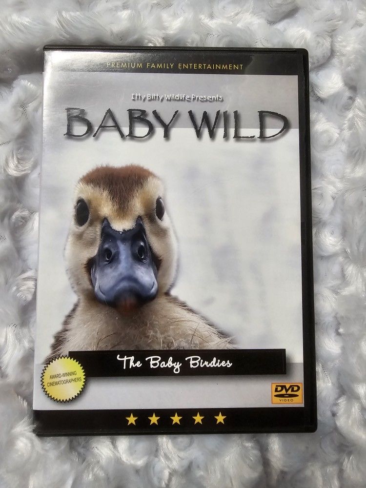 Baby Wild DVD
