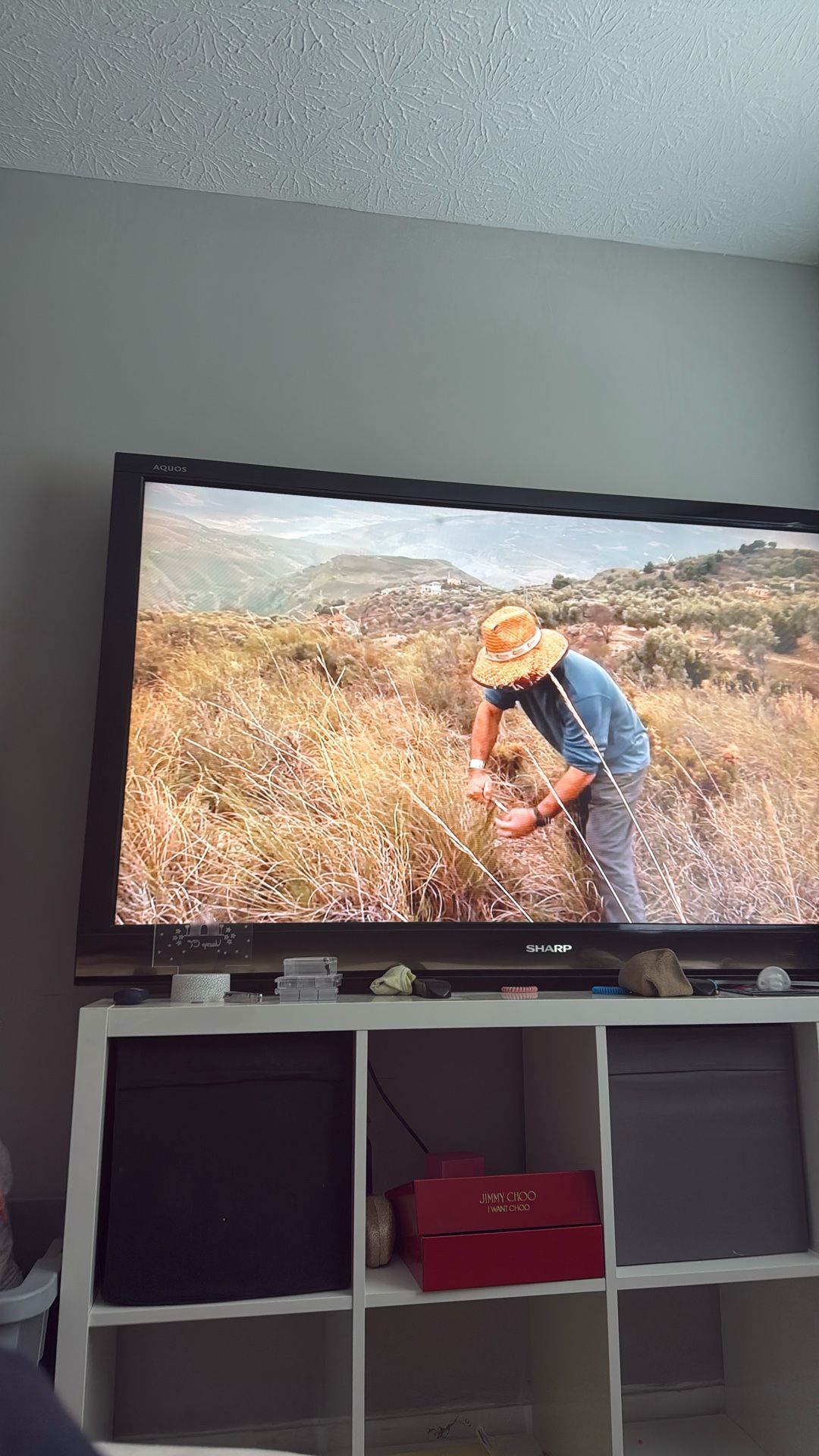 75 Inch TV