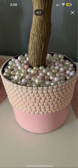 Pink Pearl Cherry Blossom Tree  🌸