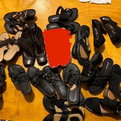 assorted womens shoes and heels