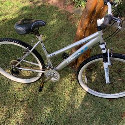 Kent Terra 2.6 Mountain bike
