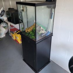 Aquarium 