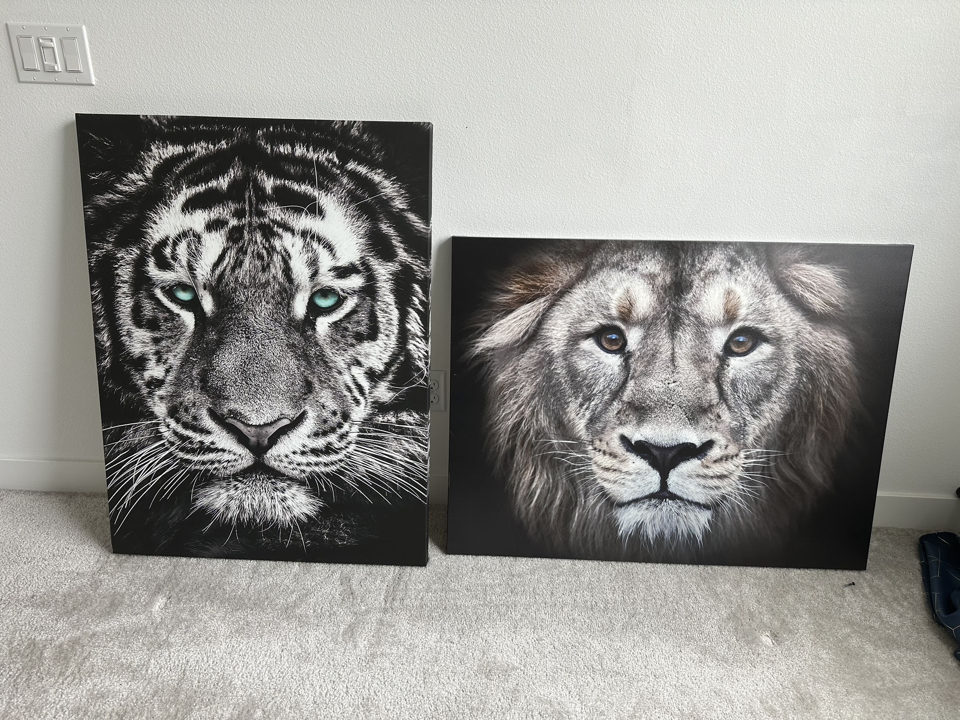 Tiger And Lion Wall Paintings!