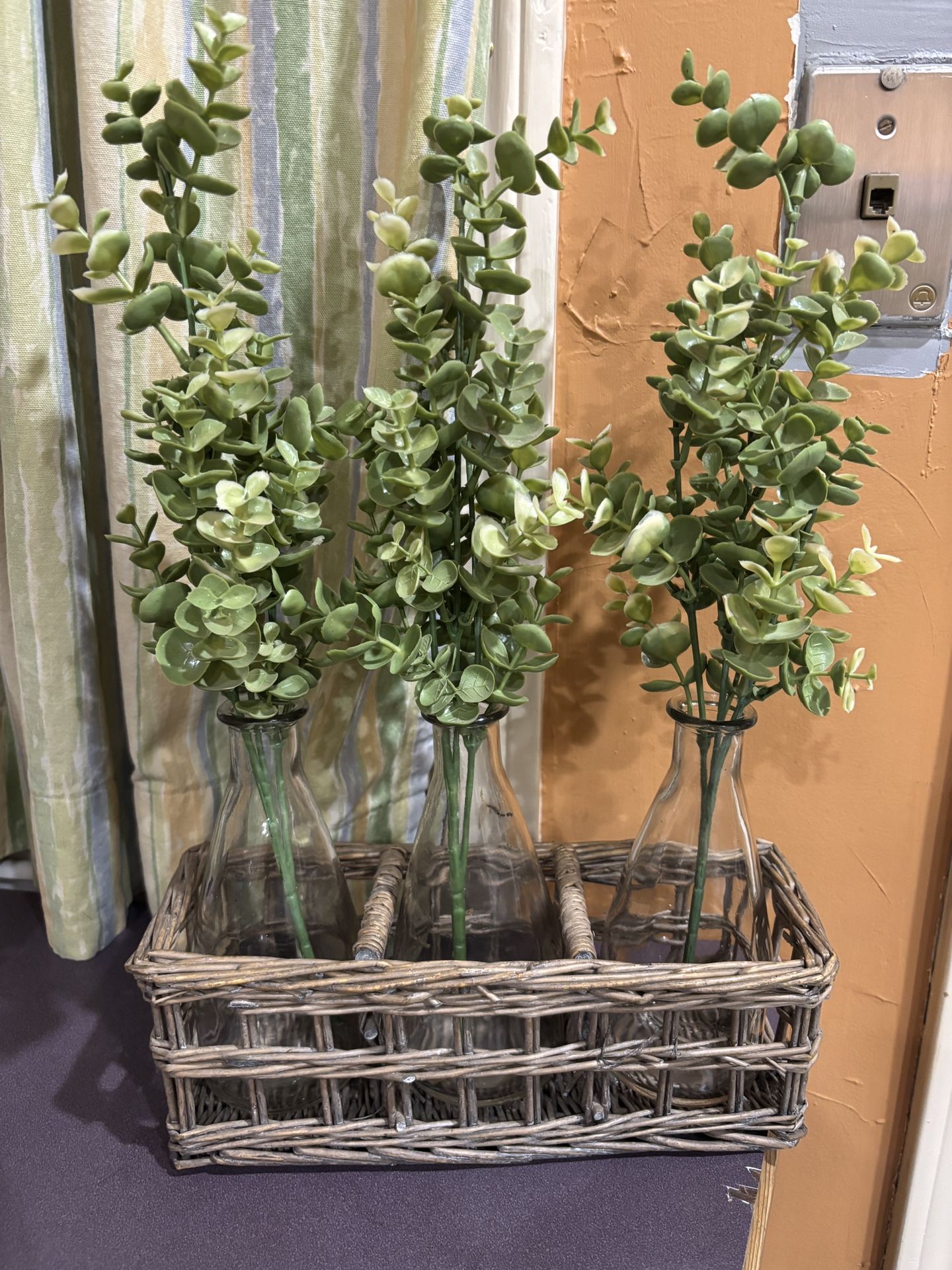 Bottle/Vase Holder/display