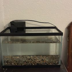 Tank 