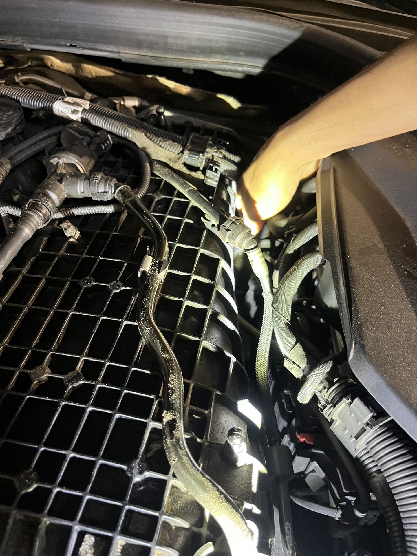 Oil Or Anything Else