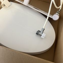 Toilet Seat 