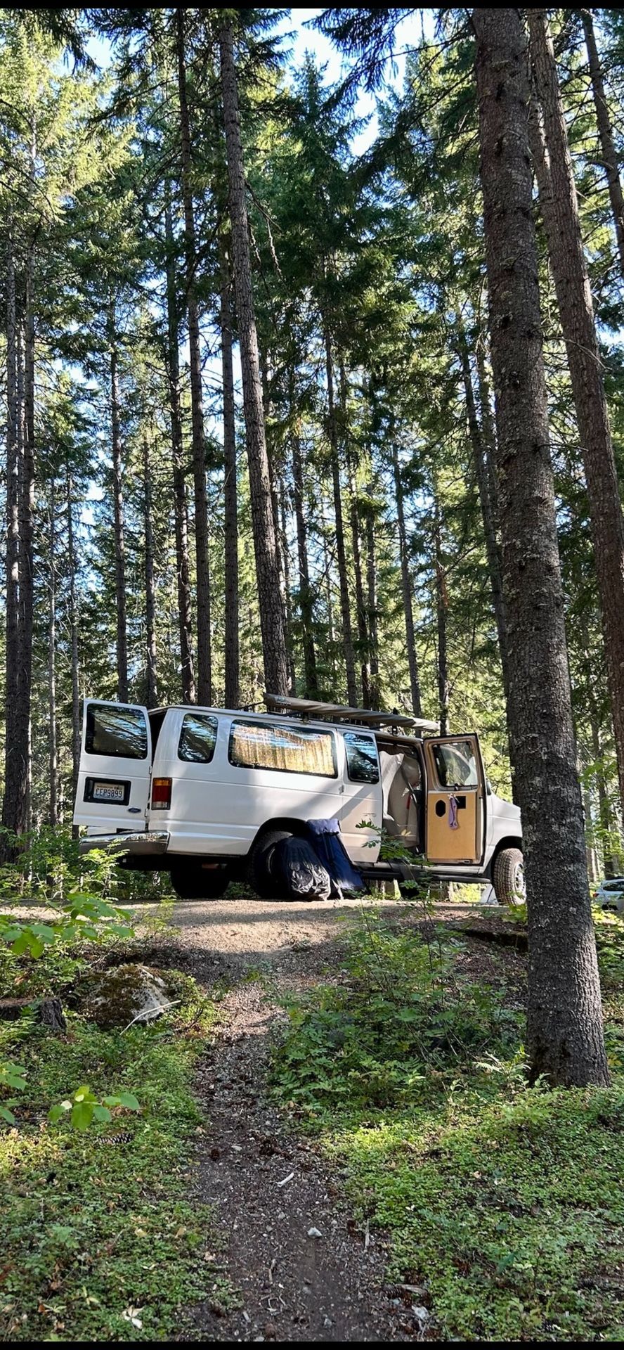 Camper Van - 1994 Ford Club Wagon