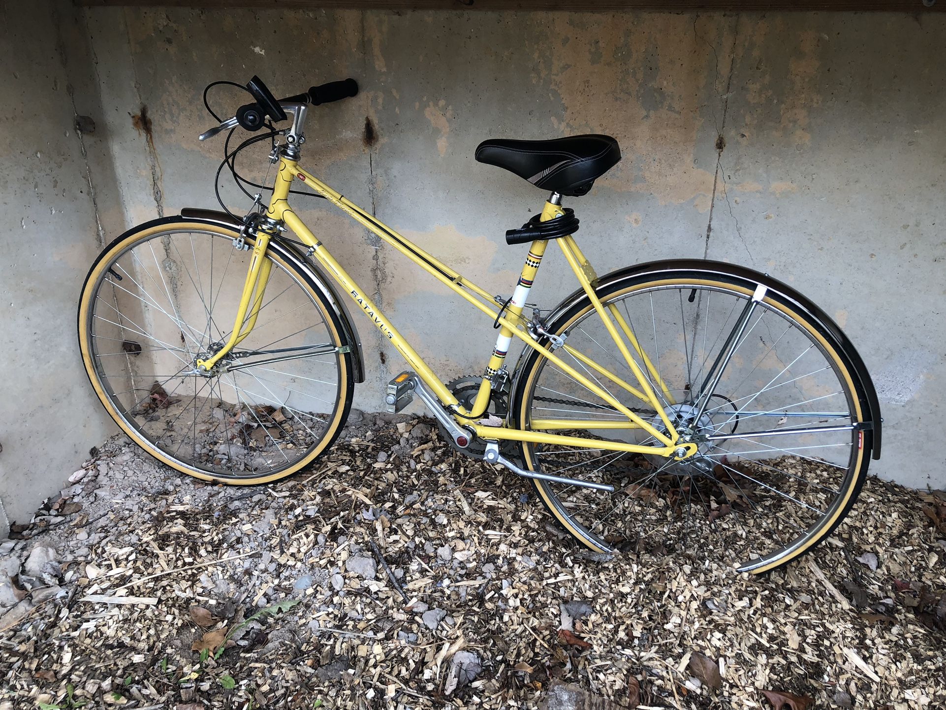 12 Speed Batavus Touring