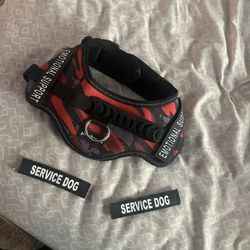 Dog Harness