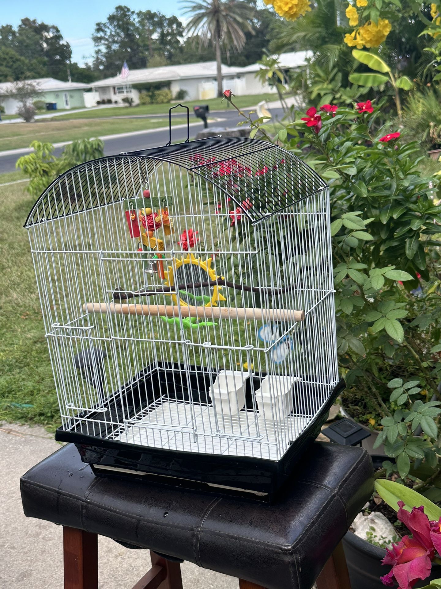 Bird Cage 18”x 13”