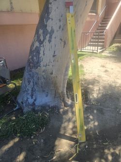 Stablia Extension Level