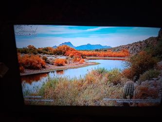 50" Sony TV  HD  w/ remote control