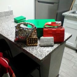 Bottega Veneta Purse 