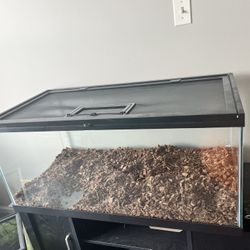 40 Gallon Breeder/20 Gallon Long (See Description)