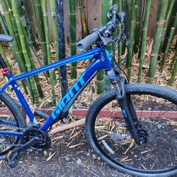 Giant Bikes 