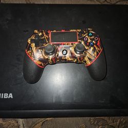 Custom Ps4 Controller 