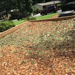Free wood chips Lithonia  sorroundibg areas