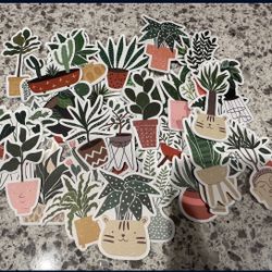 Sticker Packs
