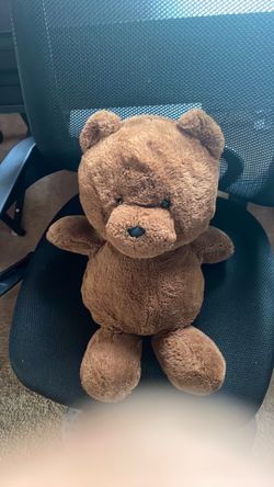 Little brown bear