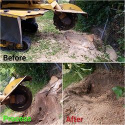 Stump Grinding