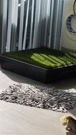 Pet Loo Indoor Dog Potty (Medium 24"*24" ) + 2 Brand New Forever Lawn Turf Upgrade