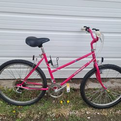 1980s Shwinn 