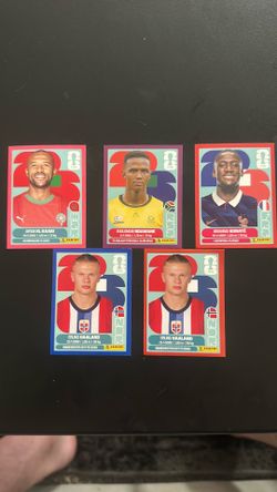 Panini red and pink parallel HAALAND