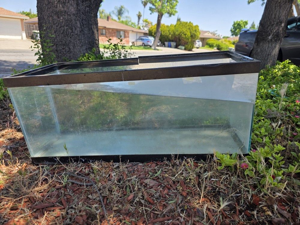 Reptile Tank