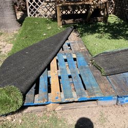 FREE - 6 wooden pallets - MUST PICK UP