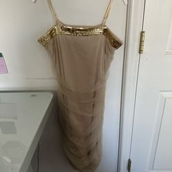 champagne sparkly dress