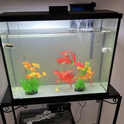 37 Gallon Fish Tank Aquarium Prices 👇 