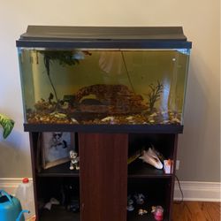 Fish tank (without fish) 