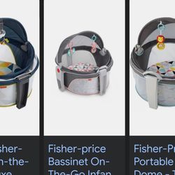 fisher price on the go baby dome